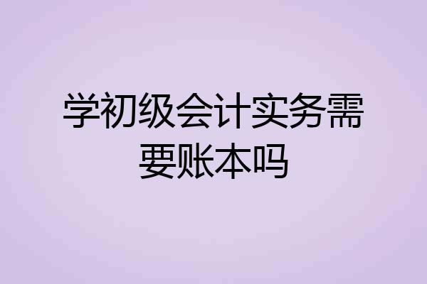 学初级会计实务需要账本吗