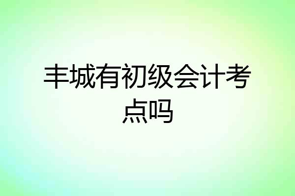 丰城有初级会计考点吗