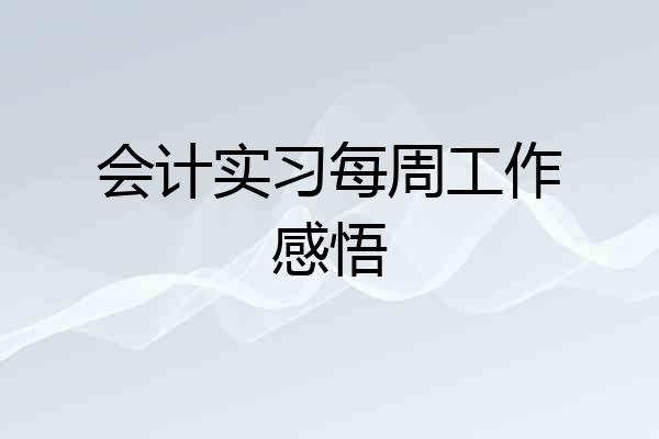会计实习每周工作感悟