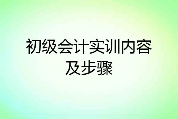 初级会计实训内容及步骤