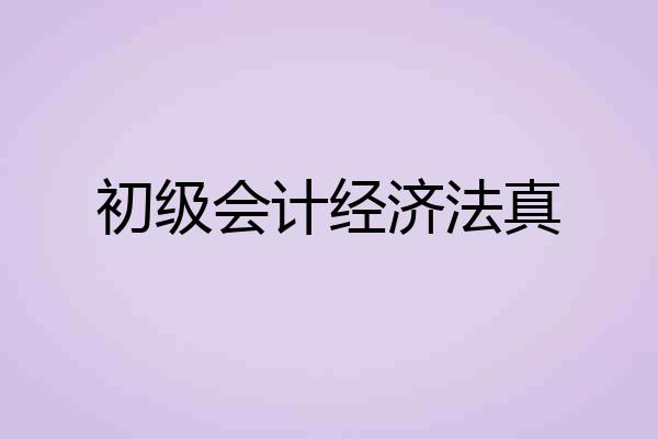初级会计经济法真