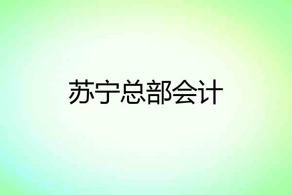 苏宁总部会计