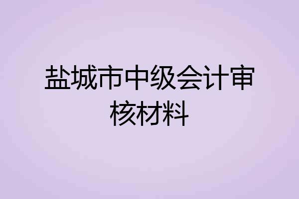 盐城市中级会计审核材料