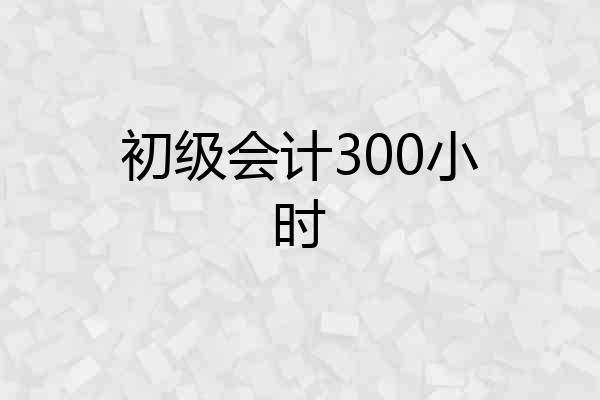 初级会计300小时