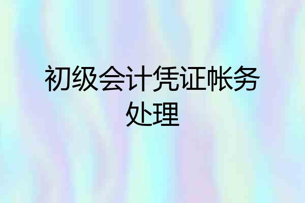 初级会计凭证帐务处理
