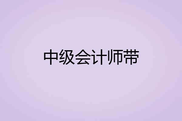 中级会计师带