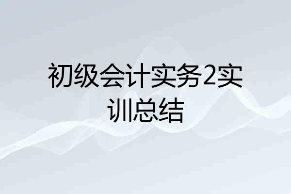 初级会计实务2实训总结