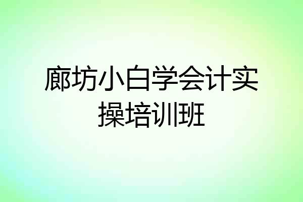 廊坊小白学会计实操培训班