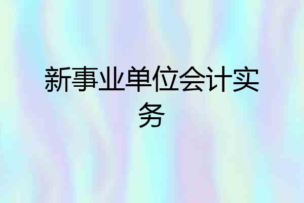 新事业单位会计实务