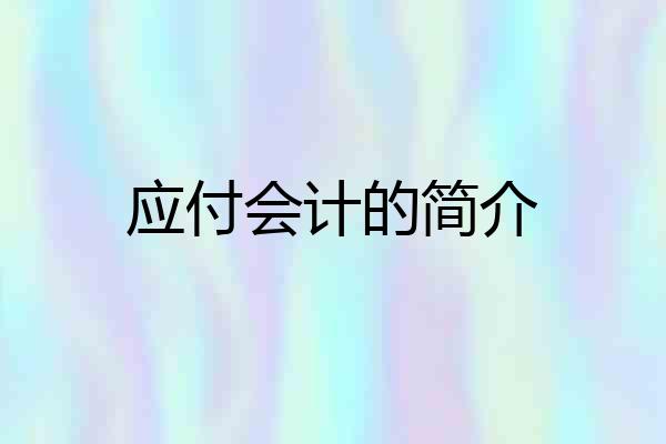 应付会计的简介