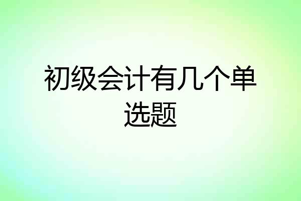 初级会计有几个单选题