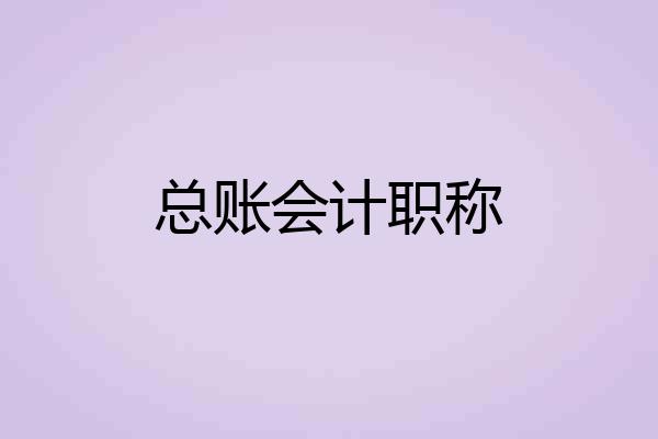 总账会计职称