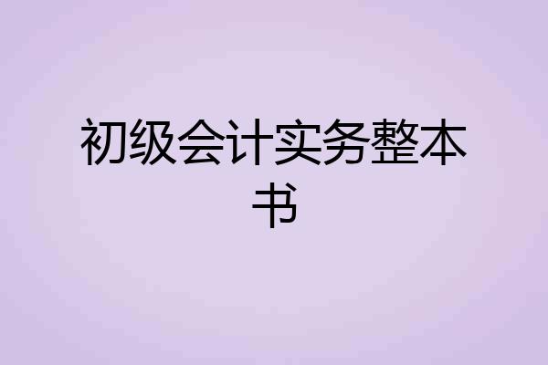 初级会计实务整本书