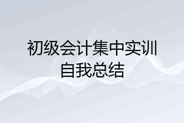 初级会计集中实训自我总结