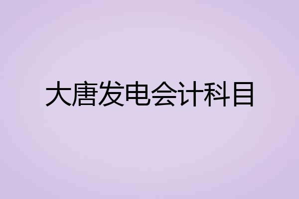 大唐发电会计科目