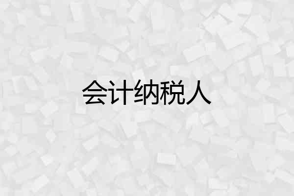 会计纳税人