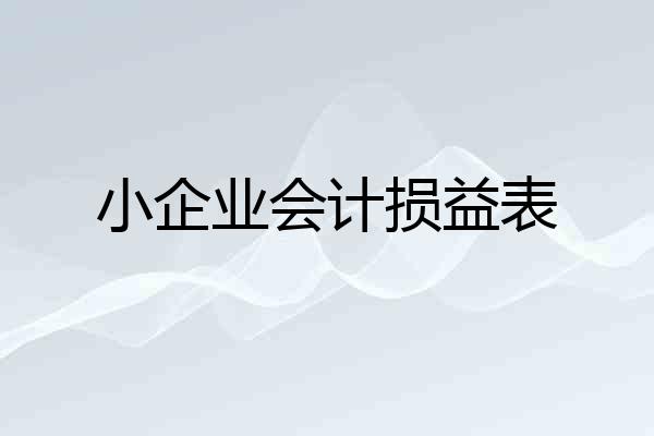 小企业会计损益表