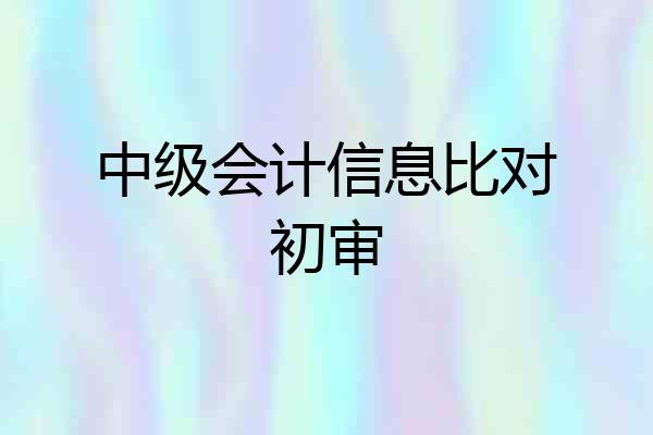 中级会计信息比对初审