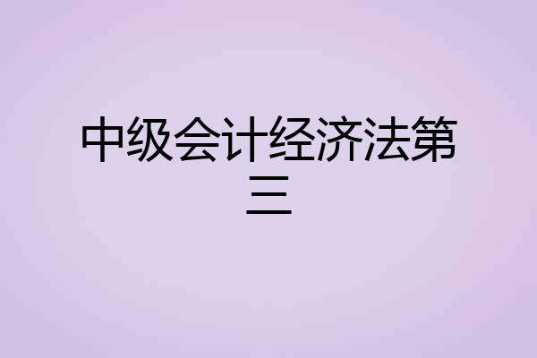 中级会计经济法第三