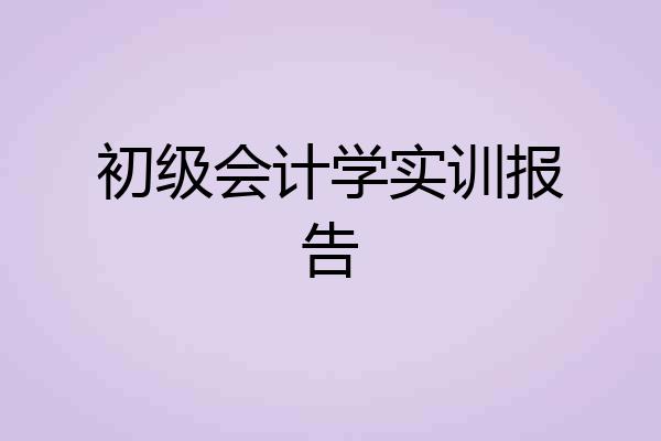 初级会计学实训报告
