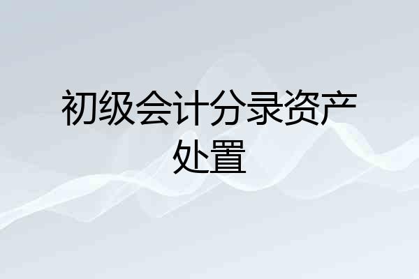 初级会计分录资产处置
