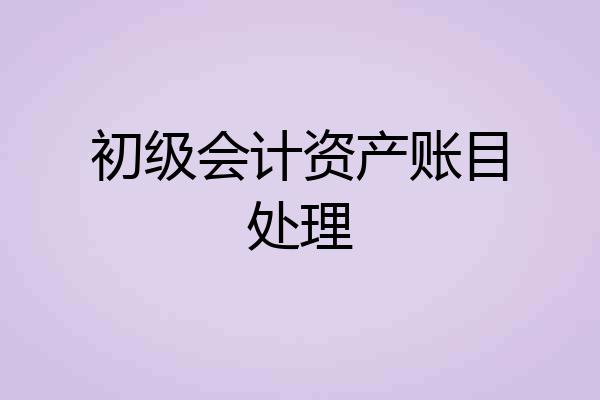 初级会计资产账目处理