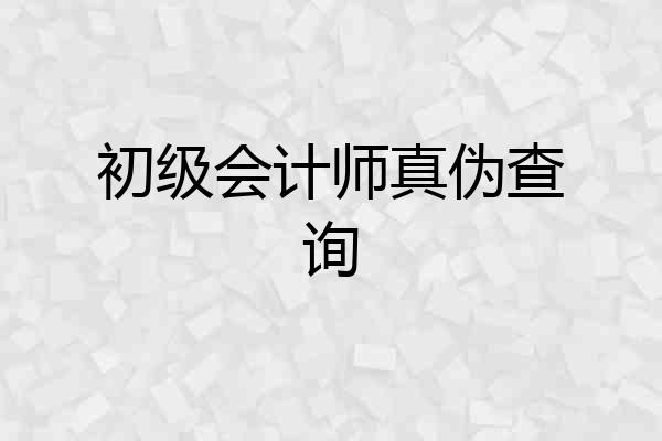 初级会计师真伪查询