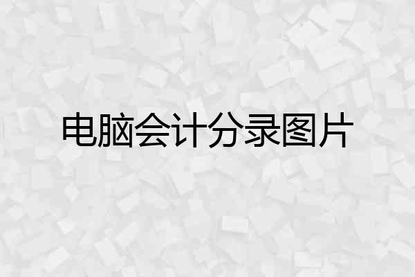 电脑会计分录图片