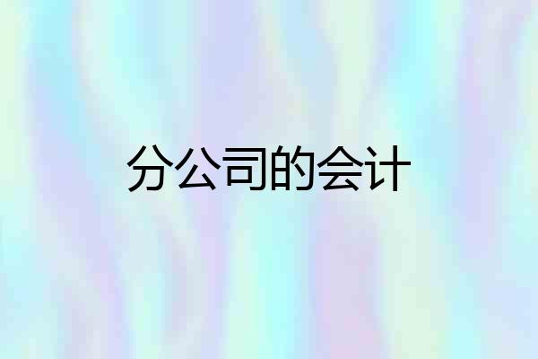 分公司的会计