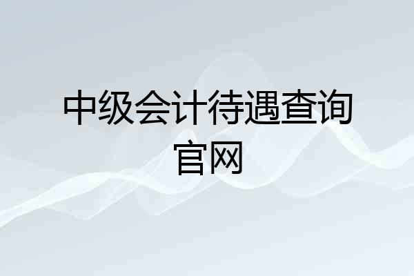 中级会计待遇查询官网