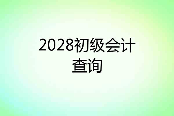 2028初级会计查询