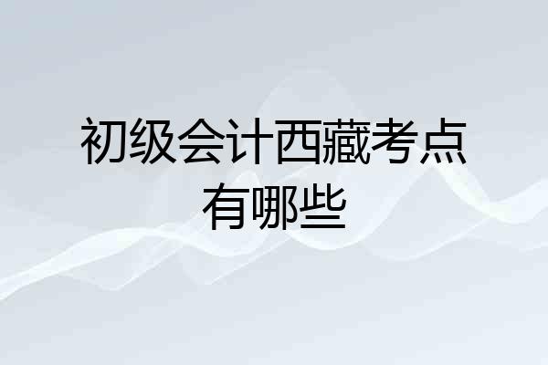初级会计西藏考点有哪些