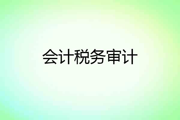 会计税务审计