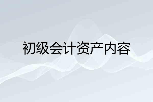 初级会计资产内容