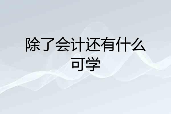 除了会计还有什么可学