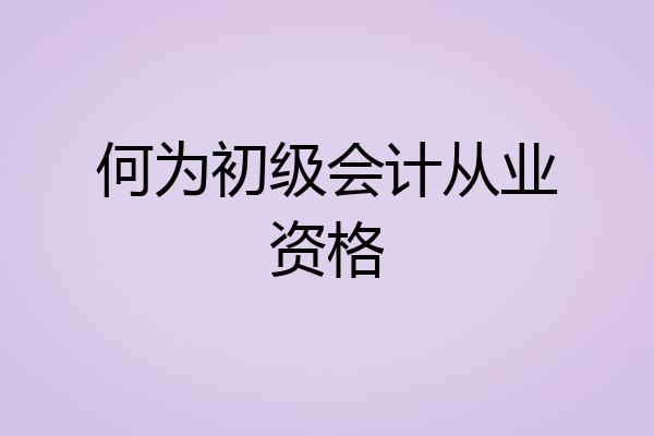 何为初级会计从业资格
