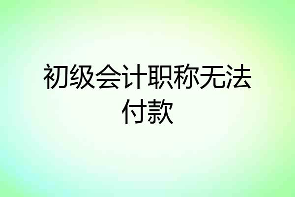 初级会计职称无法付款