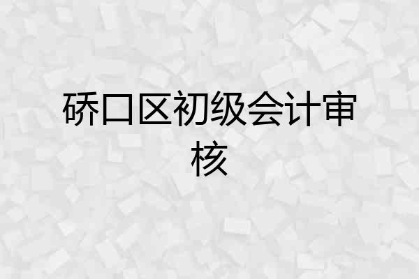 硚口区初级会计审核