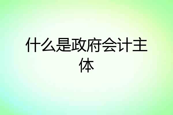 什么是政府会计主体