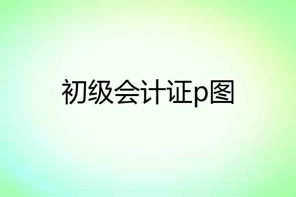 初级会计证p图