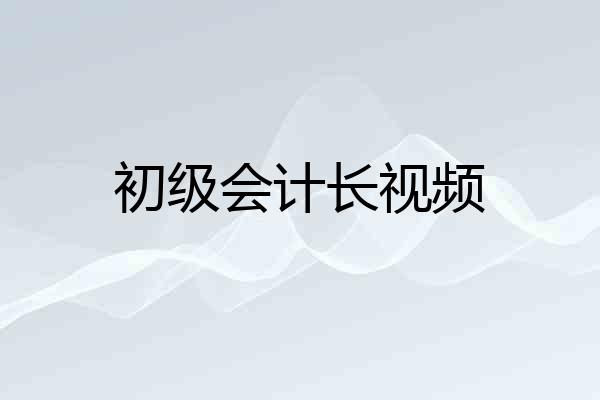 初级会计长视频