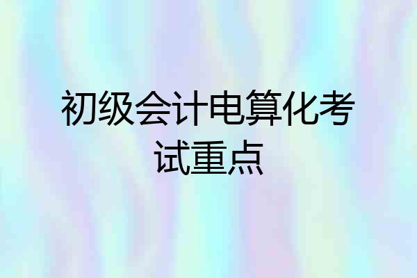 初级会计电算化考试重点