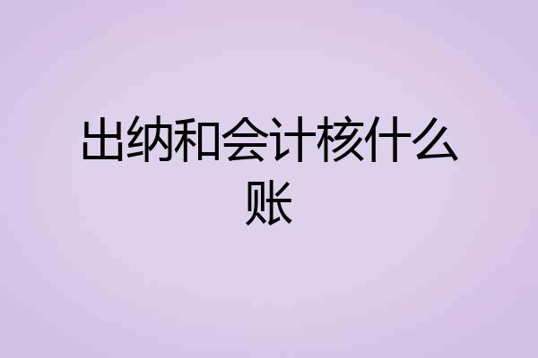 出纳和会计核什么账