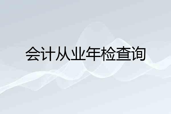 会计从业年检查询