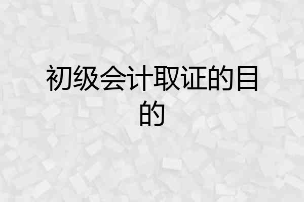 初级会计取证的目的