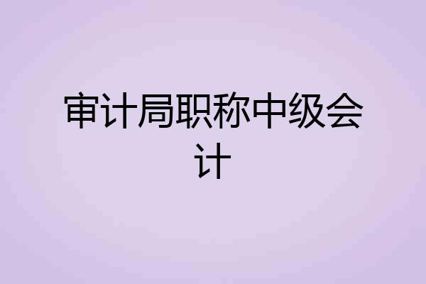 审计局职称中级会计