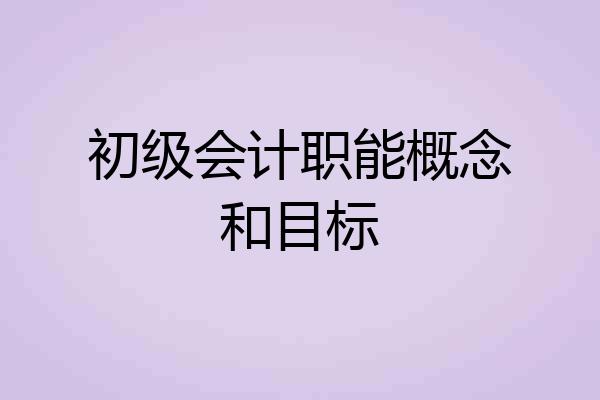 初级会计职能概念和目标