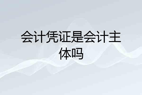 会计凭证是会计主体吗
