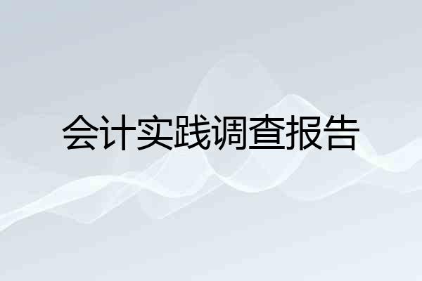 会计实践调查报告