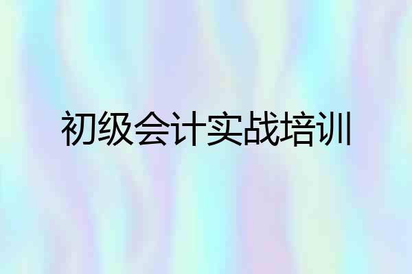 初级会计实战培训